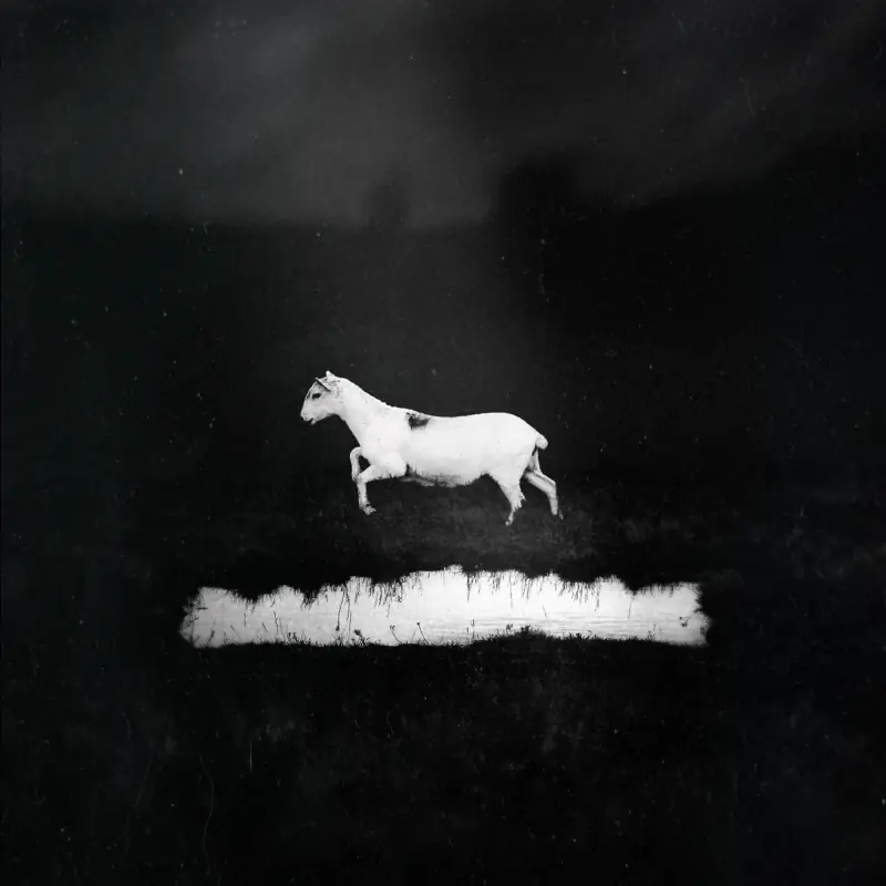 LES DISCRETS - Prédateurs · BLACK LP (Progressive Rock Vinyl) · Bild 1