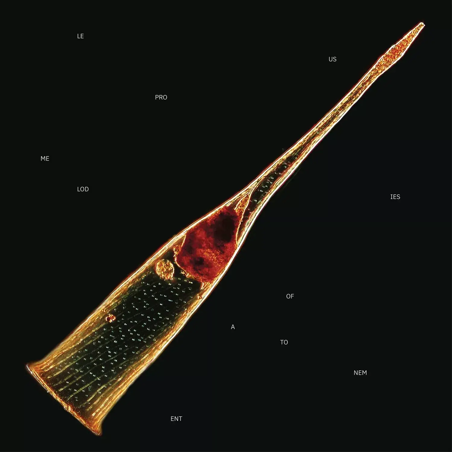 LEPROUS · Melodies Of Atonement | BLACK 2LP (Progressive Rock Vinyl) · Picture 1