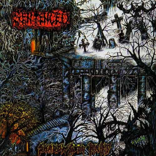 SENTENCED - Shadows Of The Past [CLEAR LP]