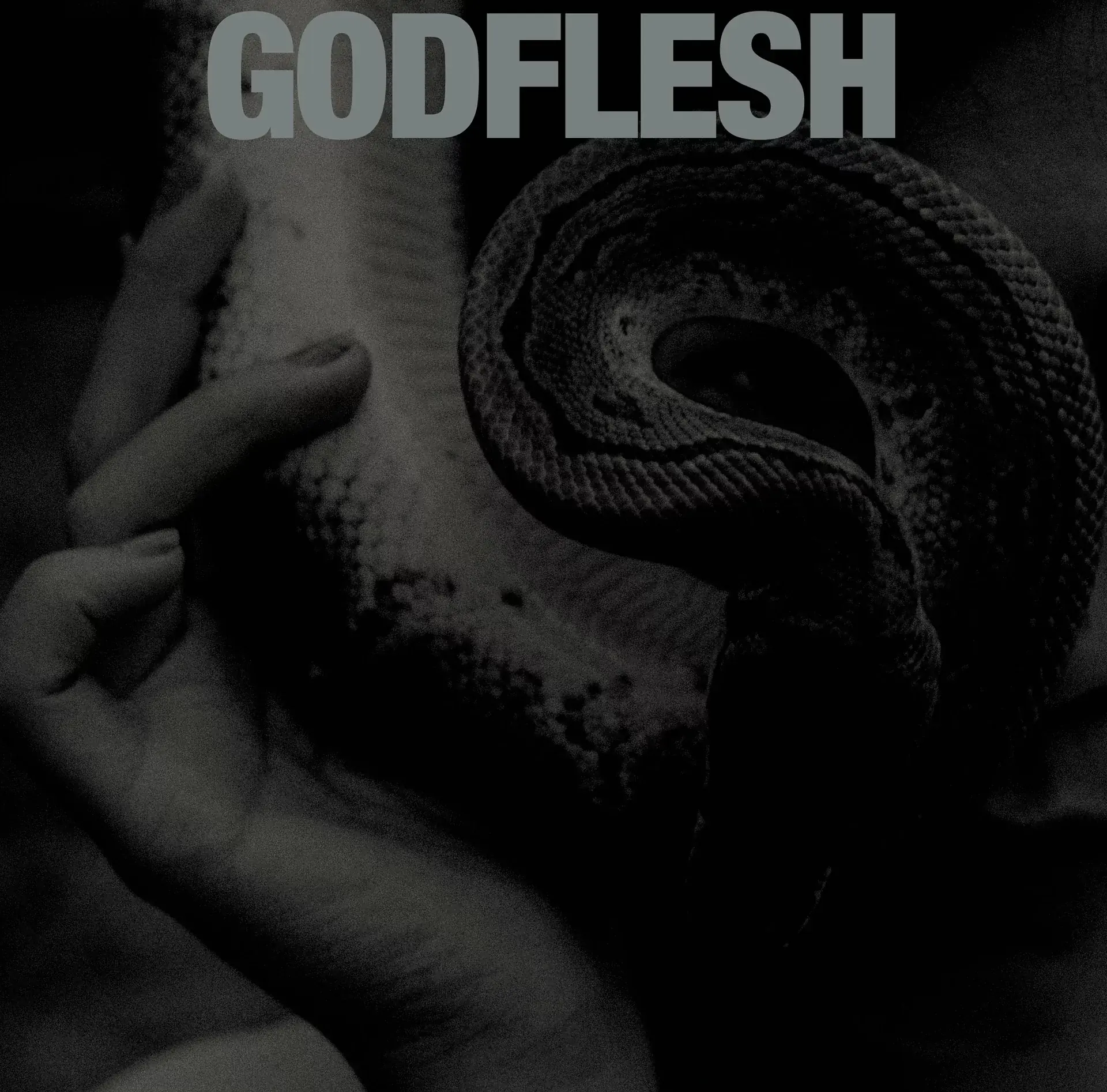 GODFLESH - Purge · BLACK LP 1