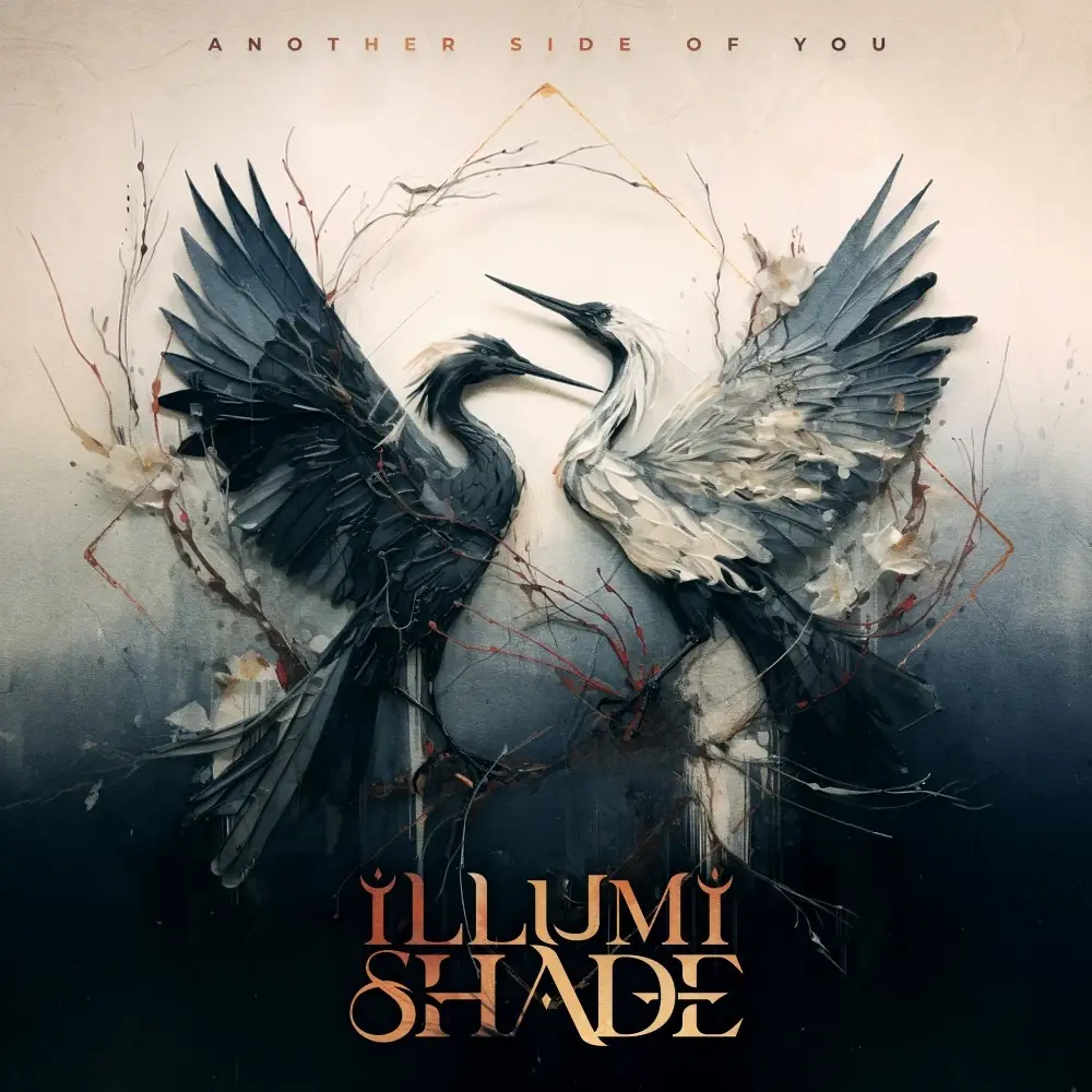 ILLUMISHADE · Another Side Of You | BLACK DLP (Modern Metal Vinyl) · Picture 1