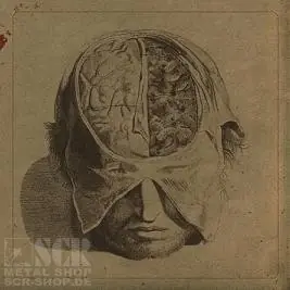 FARSOT · Insects | CD FARSOT · Insects | CD (Black Metal CDs)