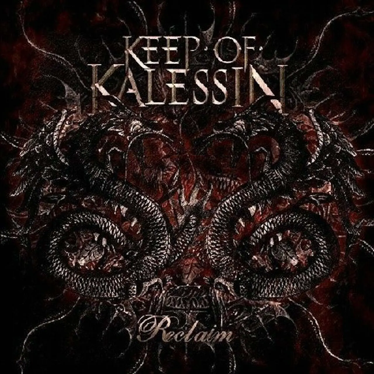 KEEP OF KALESSIN - Reclaim · CLEAR LP (Black Metal Vinyl) · Picture 1