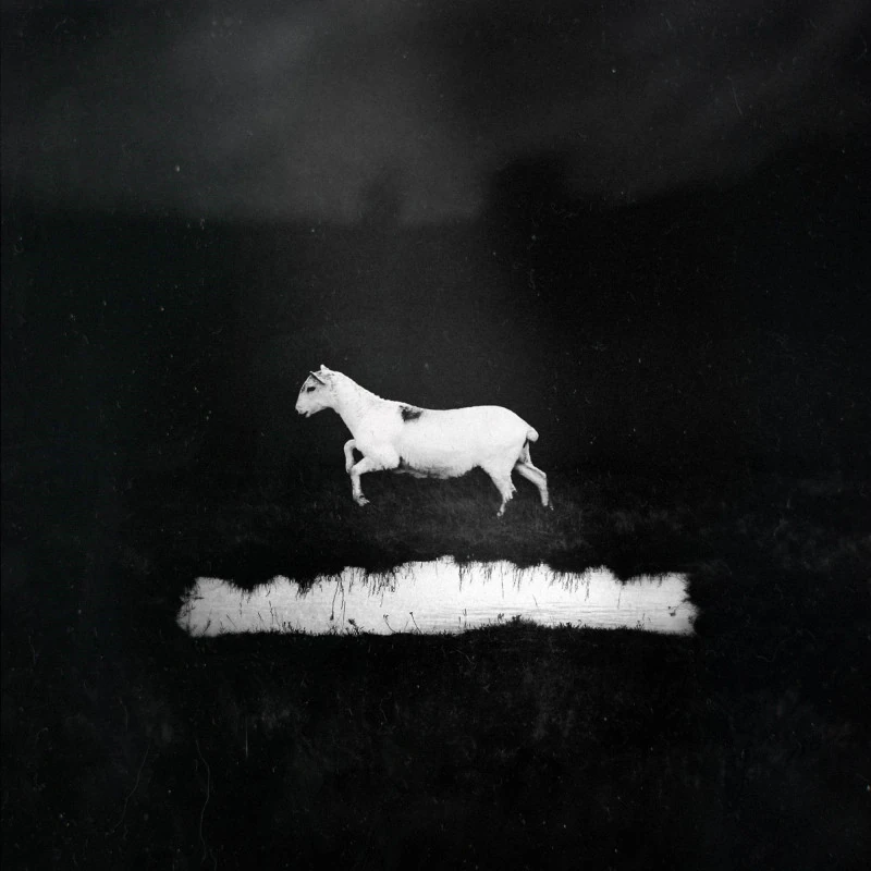 LES DISCRETS · Prédateurs | BLACK LP (Progressive Rock Vinyl) · Picture 1