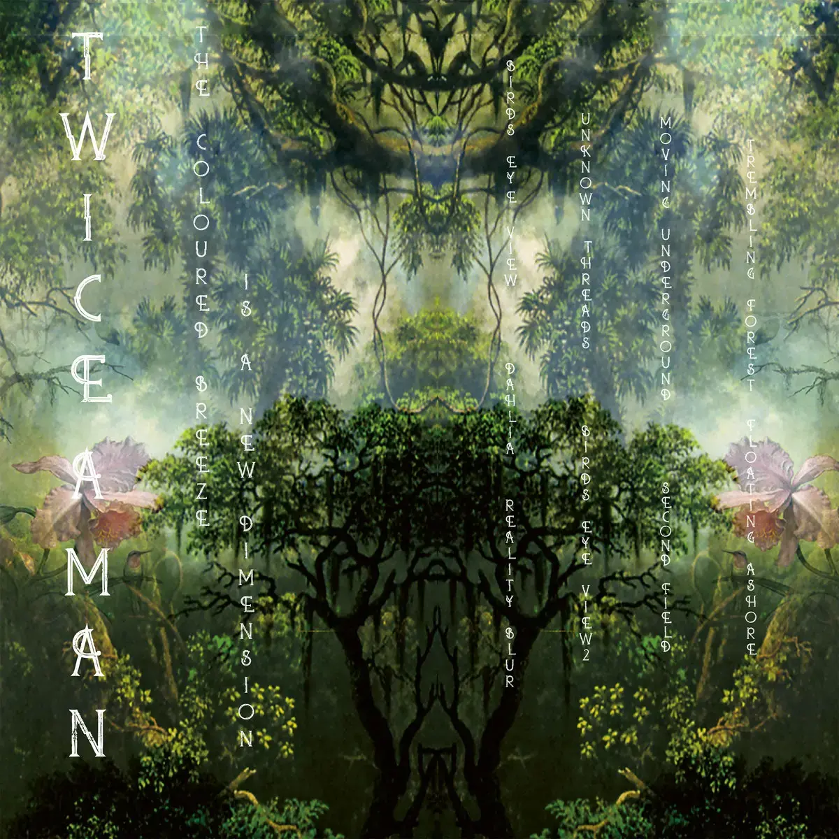 TWICE A MAN - The Coloured Breeze Is A New Dimension · BLACK LP · Picture 1 TWICE A MAN - The Coloured Breeze Is A New Dimension · BLACK LP (Electronic/Darkwave Vinyl) · Picture 1