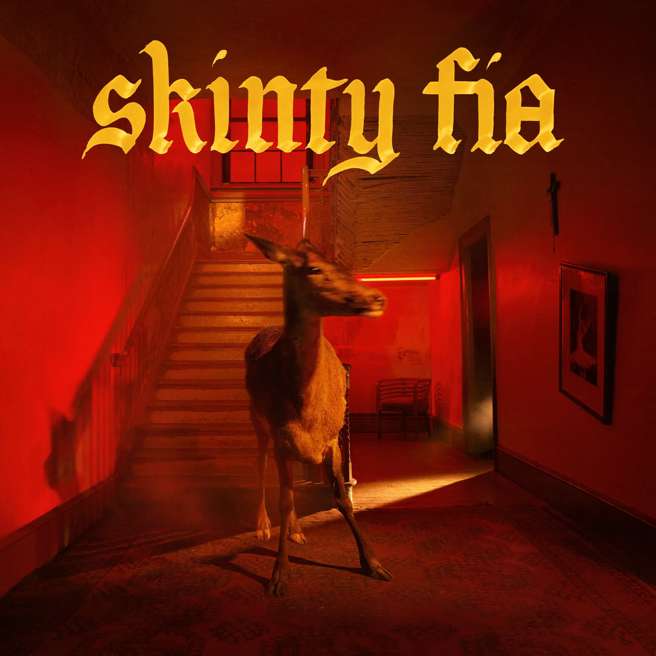 FONTAINES D.C. · Skinty Fia | BLACK LP · Picture 1 FONTAINES D.C. · Skinty Fia | BLACK LP (Alternative Rock Vinyl) · Picture 1
