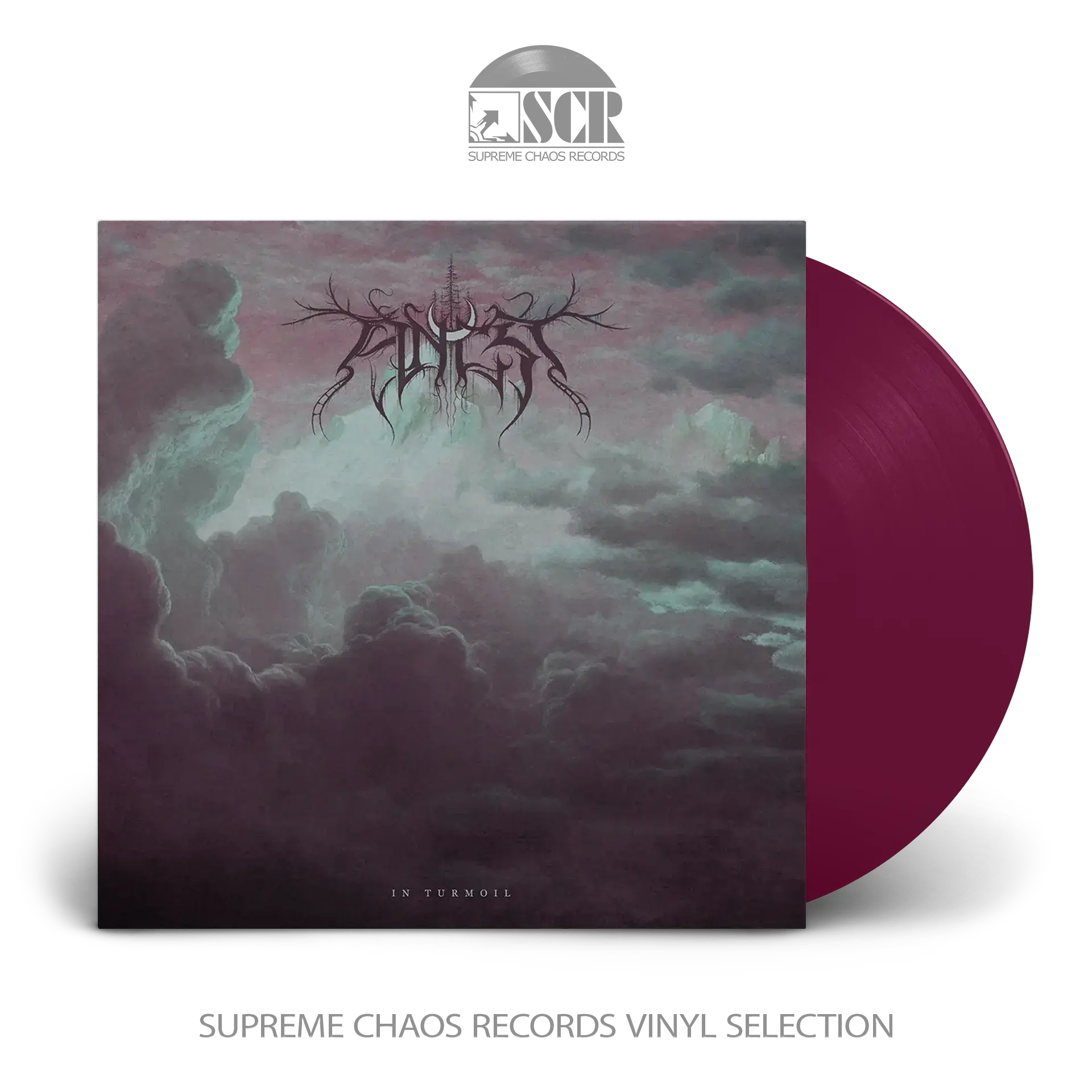 ANCST - In Turmoil · LILAC/PURPLE LP
