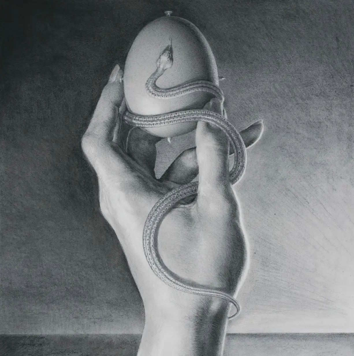 SABBATH ASSEMBLY · Sabbath Assembly | GREY LP · Picture 1 SABBATH ASSEMBLY · Sabbath Assembly | GREY LP (Experimental Rock Vinyl) · Picture 1