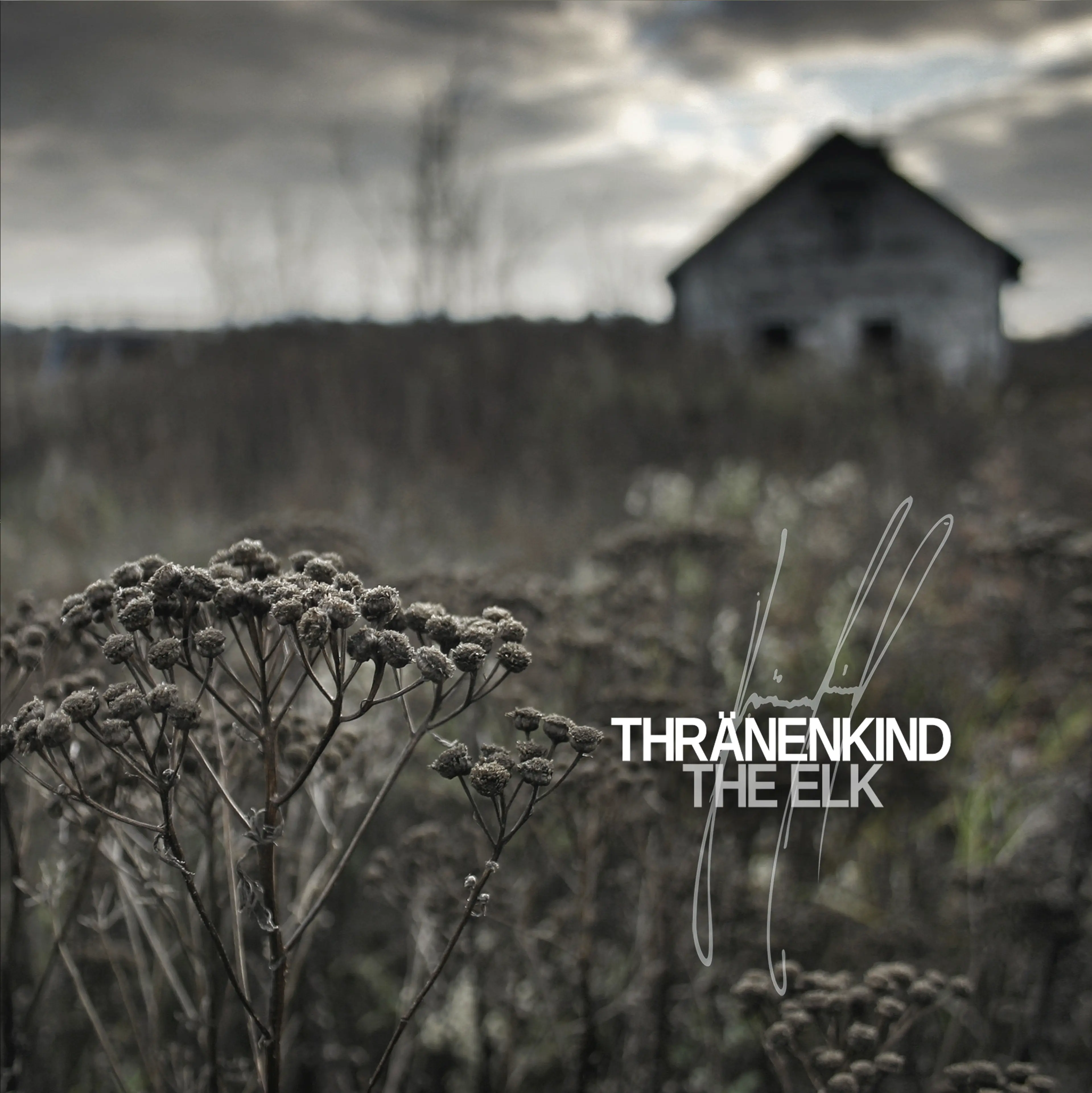 THRÄNENKIND - The Elk · BLACK DLP 1