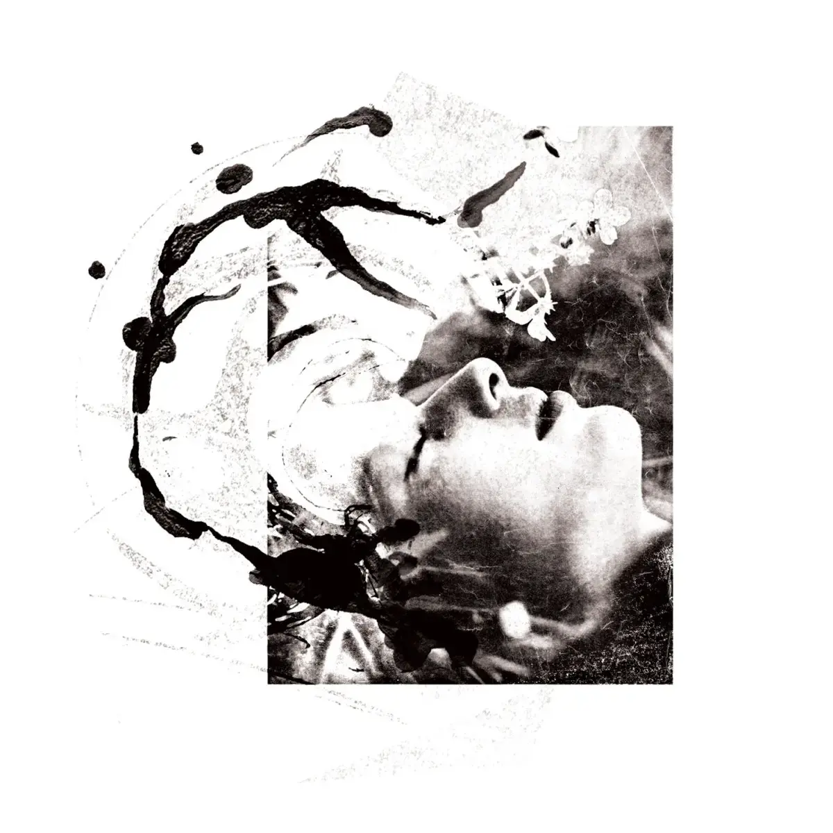 TENHI - Airut:Aamujen (Re-Release) · DIGIBOOK CD (Folk CDs)