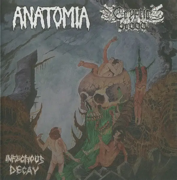 ANATOMIA / CRYPTIC BROOD - Infectious Decay Split · CD