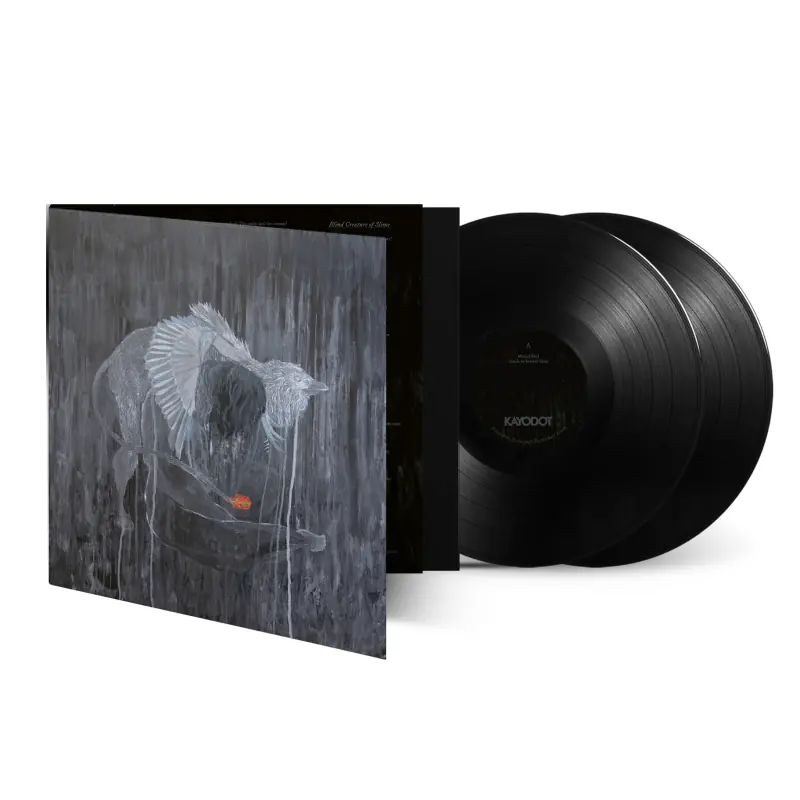 KAYO DOT - Every Rock, Every Half-Truth Under Reason · BLACK 2LP (Progressive Rock/Alternative Rock Vinyl) · Bild 2