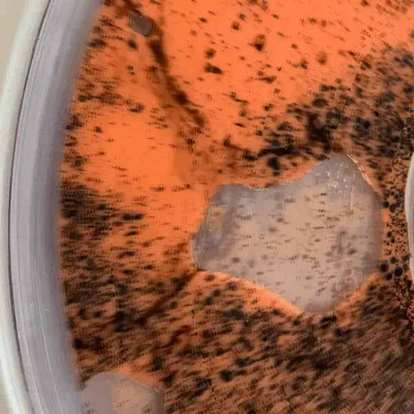 IGNITE · A War Against You | LIQUID FILLED LP · Picture 3 IGNITE · A War Against You | LIQUID FILLED LP (Hardcore Vinyl) · Picture 3