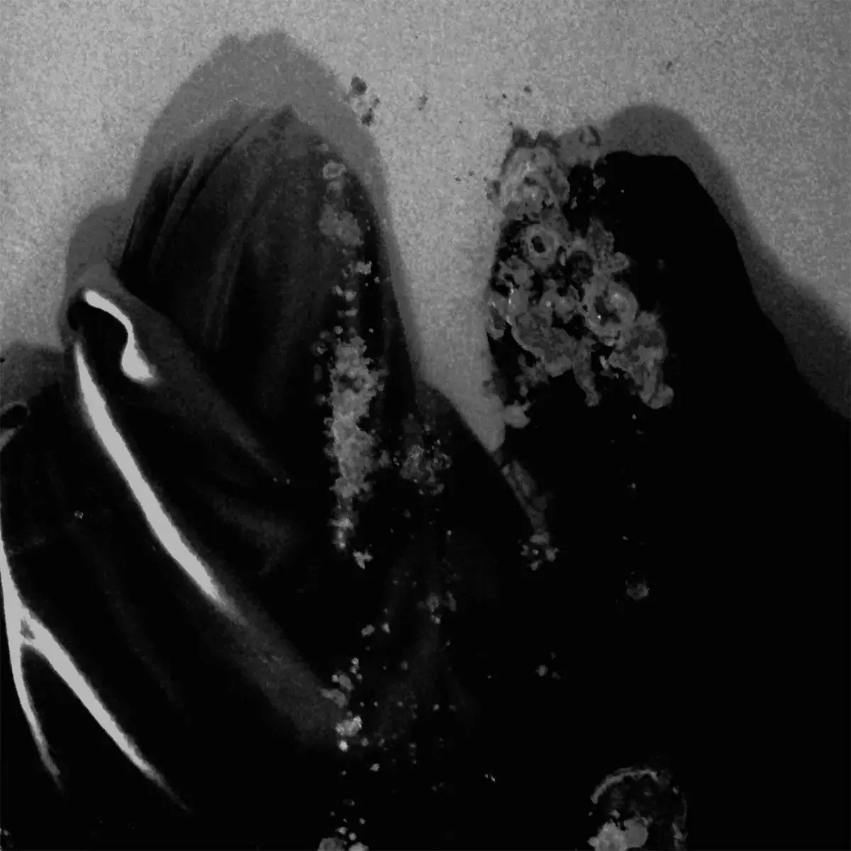 FLUISTERAARS - Luwte · BLACK LP 1
