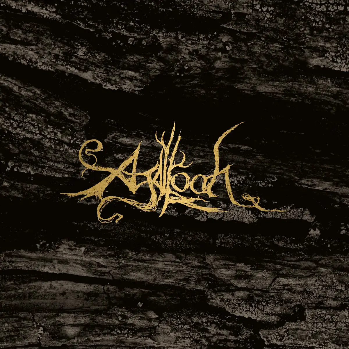 AGALLOCH - Pale Folklore · BLACK 2LP (Dark Metal/Black Metal Vinyl) · Bild 1