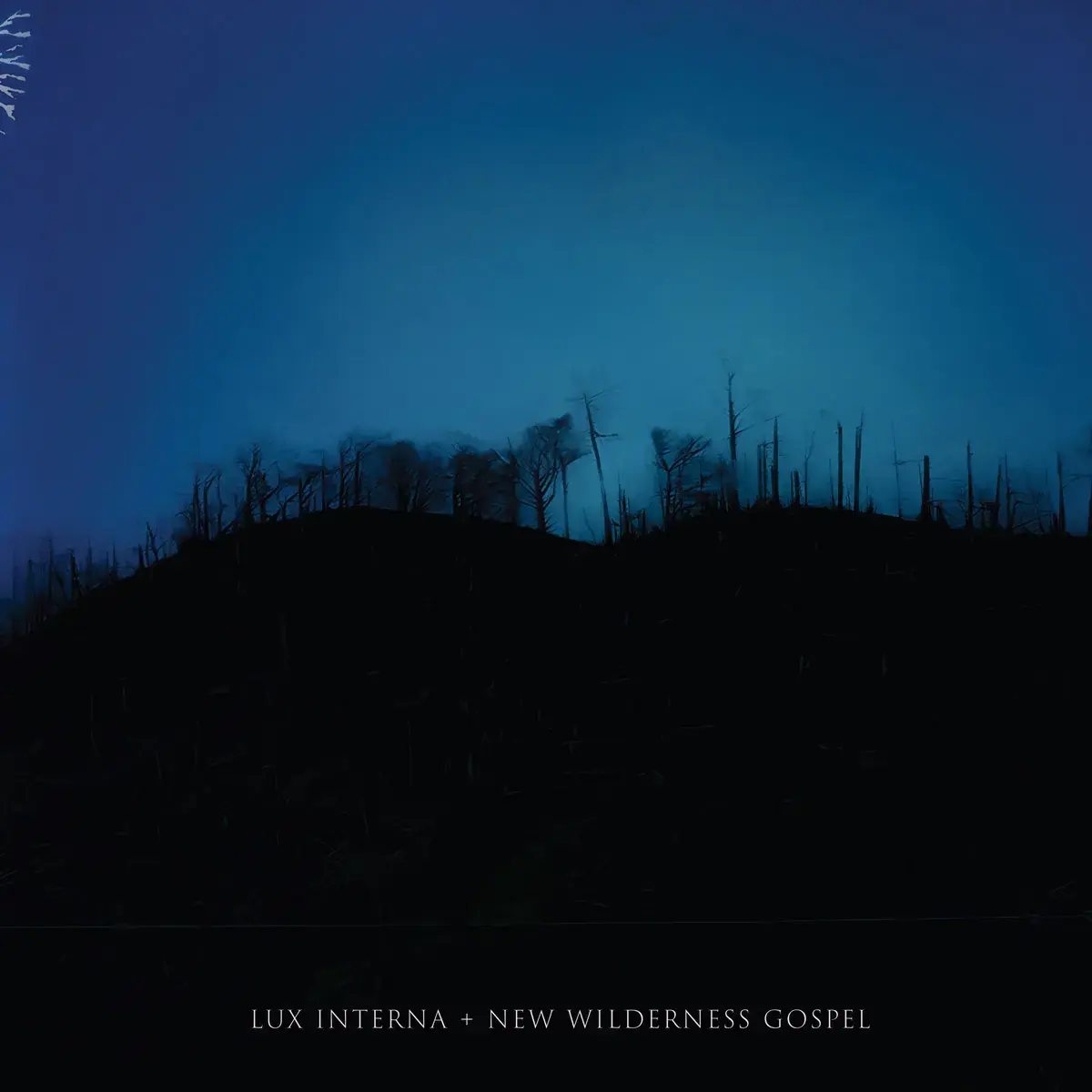 LUX INTERNA - New Wilderness Gospel · BLUE MARBLE 2LP (Folk Vinyl) · Picture 1