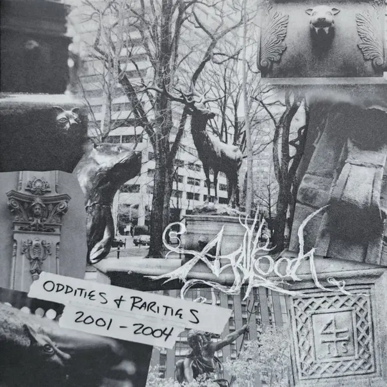 AGALLOCH · Oddities & Rarities 2001 - 2004 | CLEAR/BLACK SMOKE 2LP · Picture 1 AGALLOCH · Oddities & Rarities 2001 - 2004 | CLEAR/BLACK SMOKE 2LP (Black Metal/Folk Metal Vinyl) · Picture 1