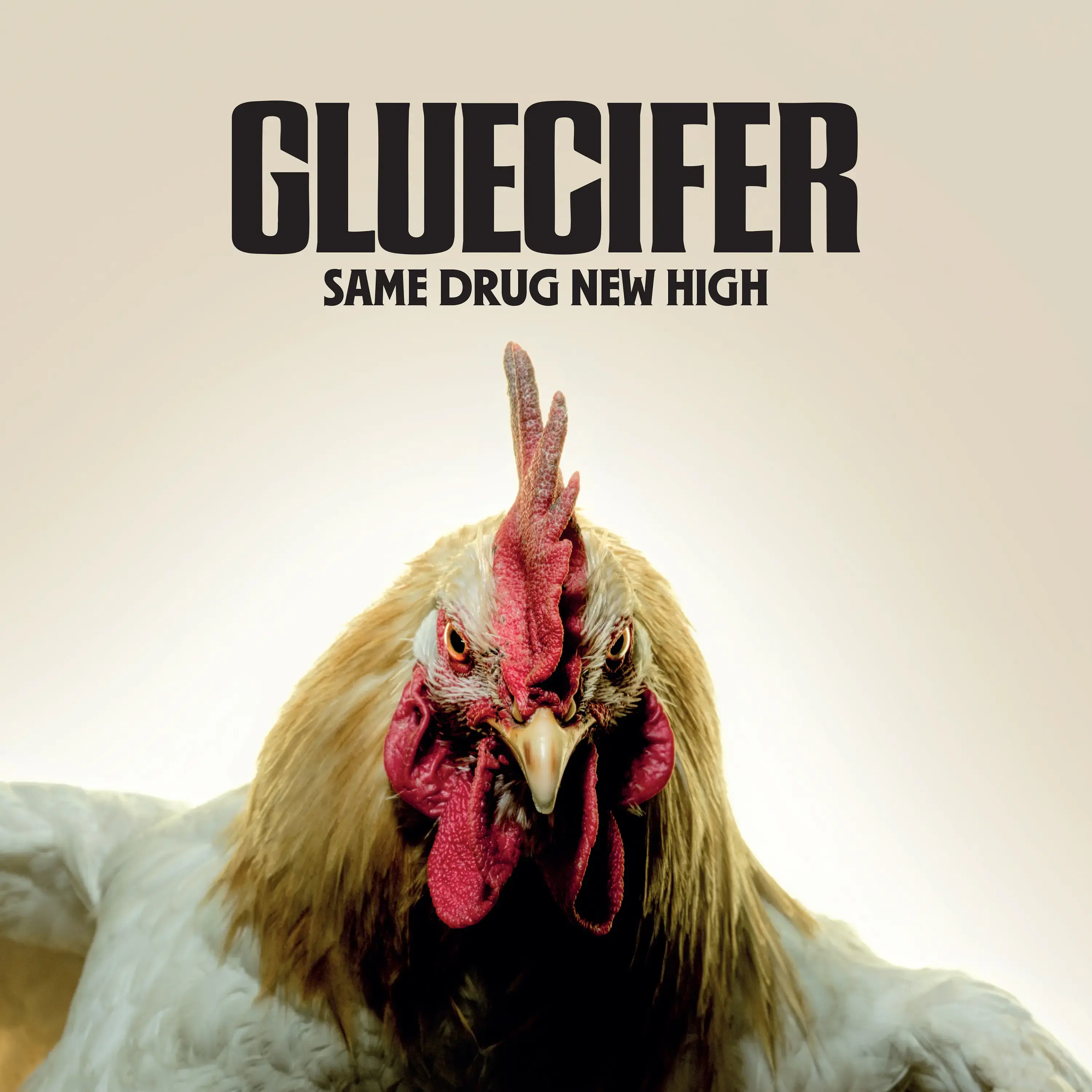 GLUECIFER - Same Drug New High · TRANSPARENT RED LP · Picture 1 GLUECIFER - Same Drug New High · TRANSPARENT RED LP (Hard Rock Vinyl) · Picture 1