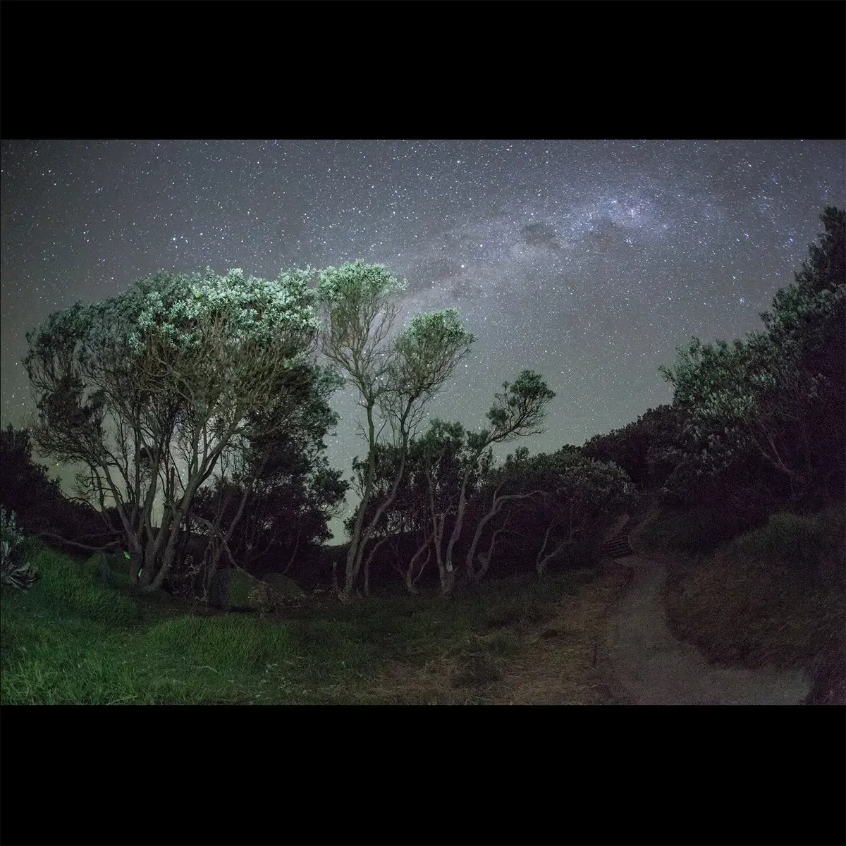 ESBEN AND THE WITCH · Older Terrors | DIGIPAK CD ESBEN AND THE WITCH · Older Terrors | DIGIPAK CD (Hard Rock CDs)