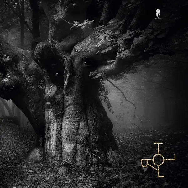 DROTT · Troll | BLACK LP (Progressive Rock/Folk Rock Vinyl) · Picture 1