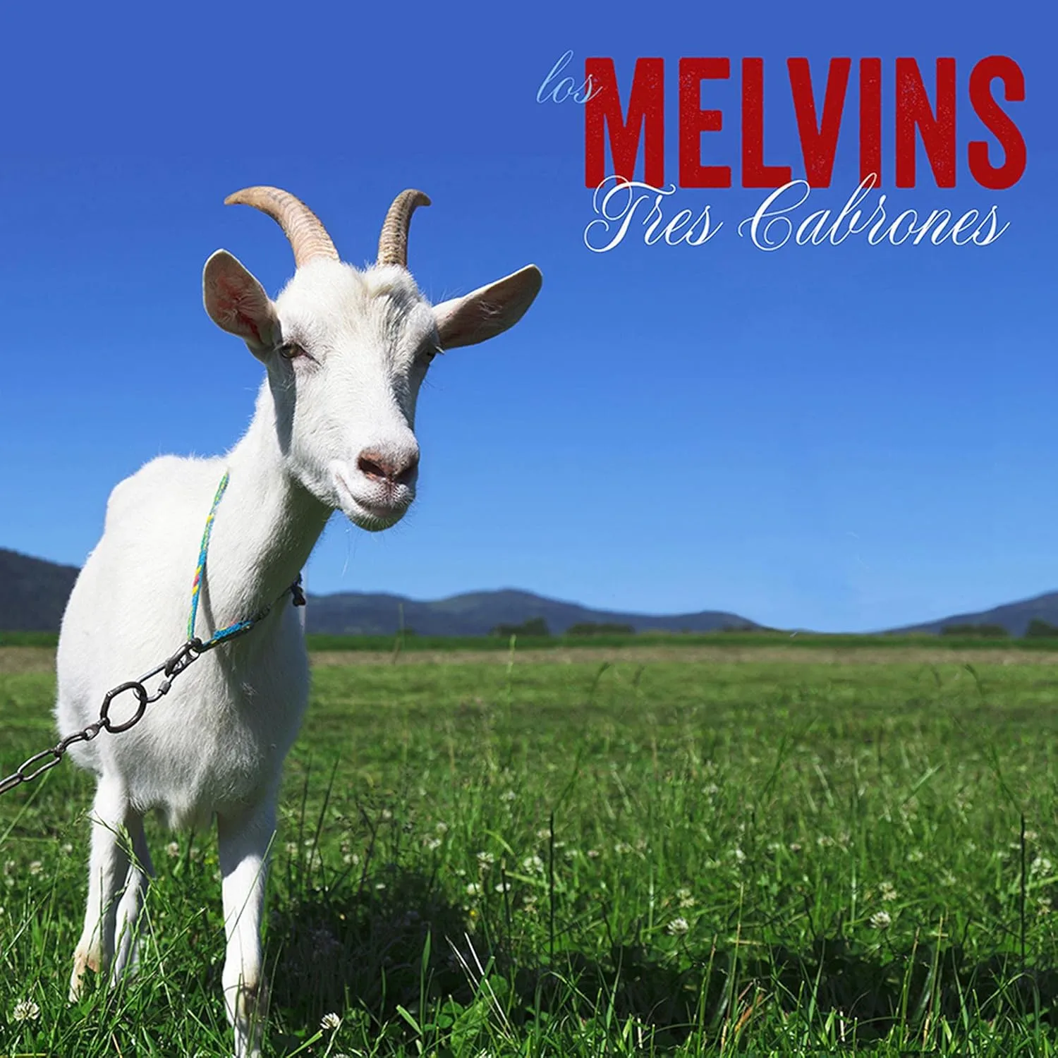 MELVINS · Tres Cabrones | SKY BLUE LP (Alternative Rock Vinyl) · Picture 1