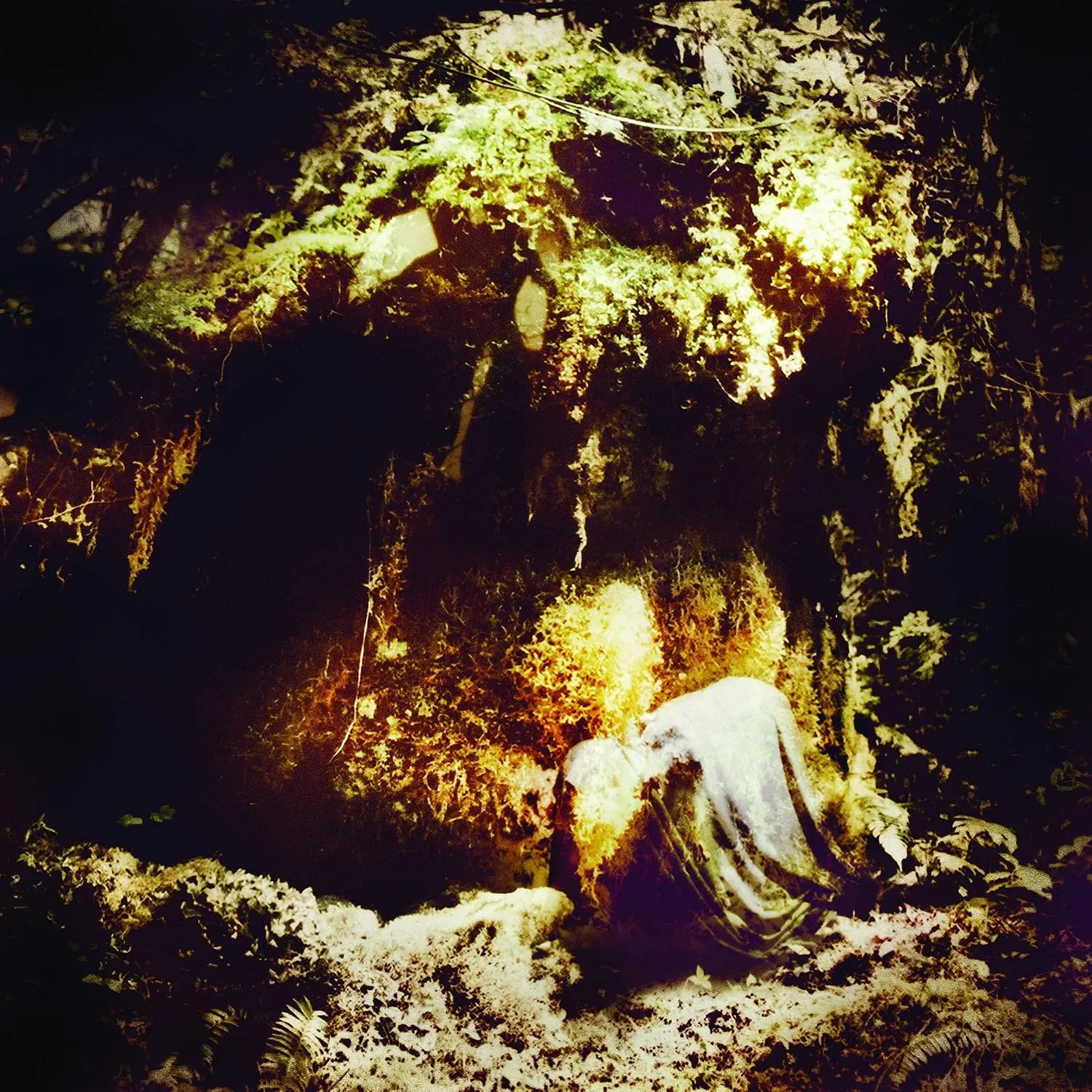 WOLVES IN THE THRONE ROOM · Celestial Lineage | DIGI (Black Metal CDs)