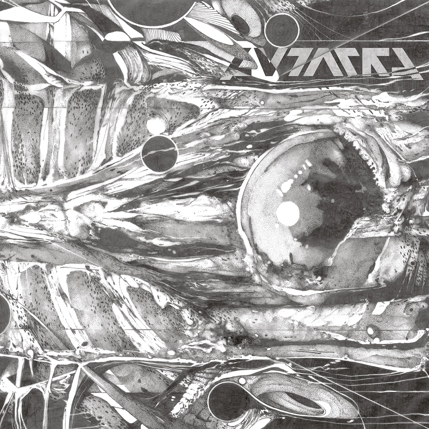 AUTARKH · Form in Motion [BLACK] | DLP (Black Metal Vinyl) · Picture 1