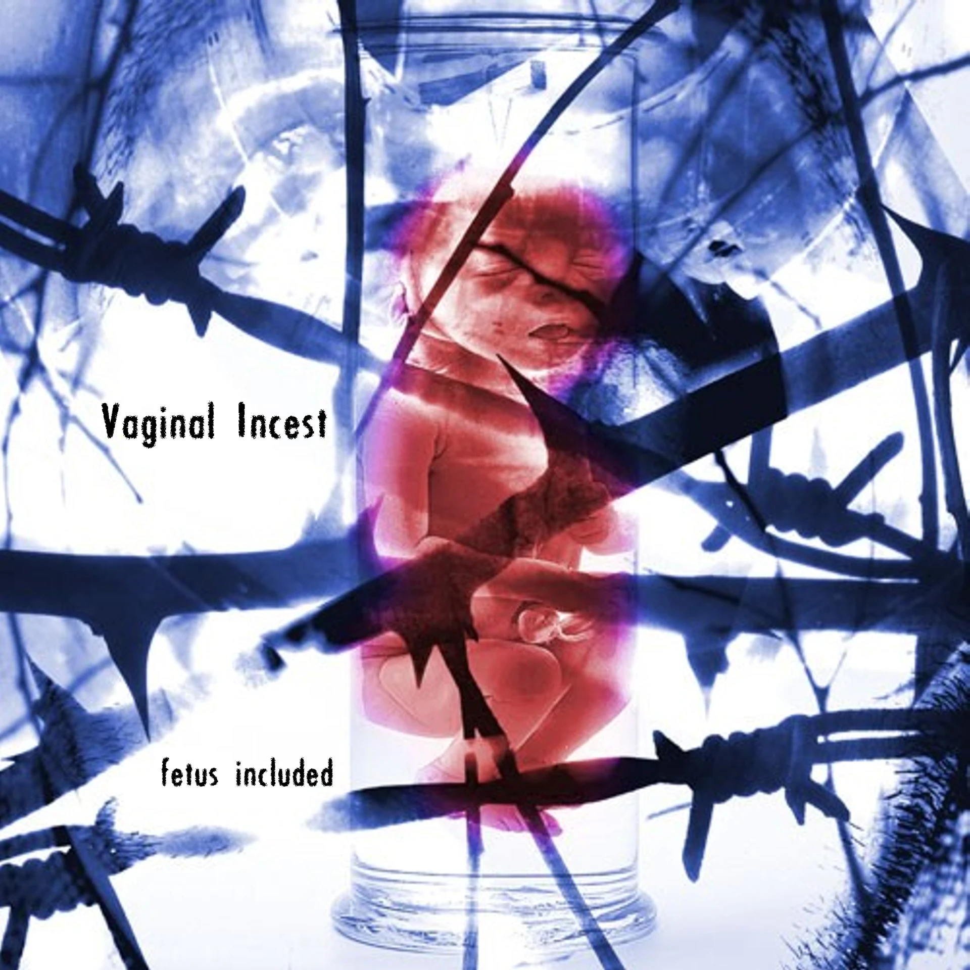 INHUMATE / VAGINAL INCEST · Split | BLACK 7" EP (Grindcore Vinyl) · Picture 1