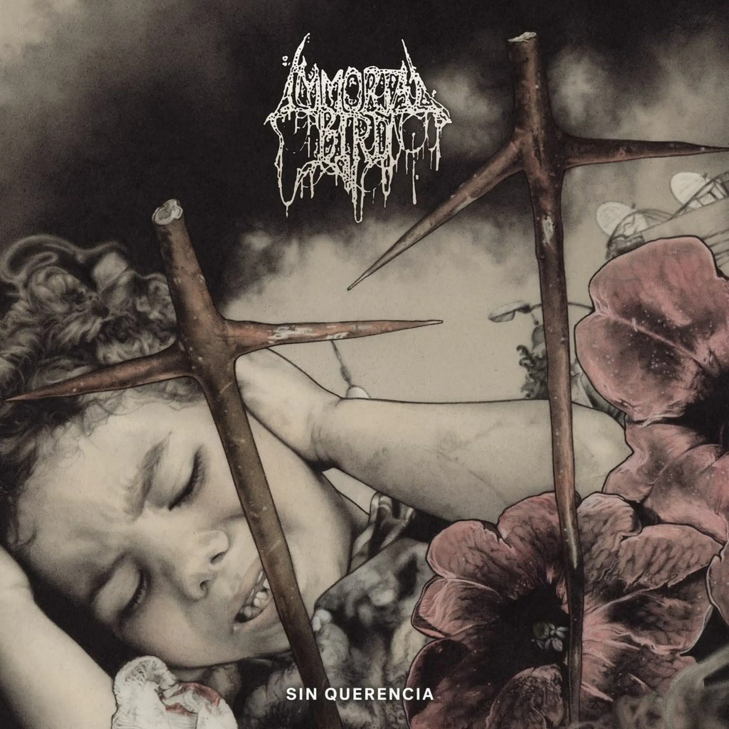 IMMORTAL BIRD · Sin Querencia | BLACK LP (Death Metal Vinyl) · Picture 1