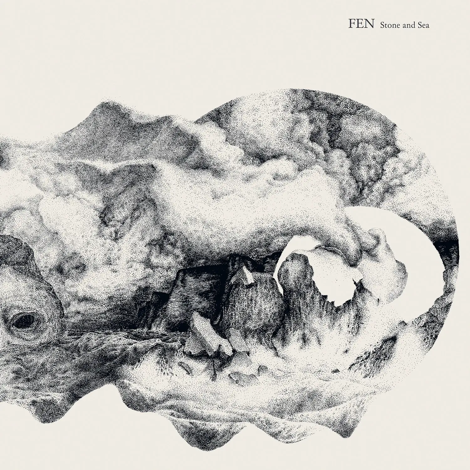 FEN · Stone And Sea | BLACK LP (Black Metal Vinyl) · Picture 1