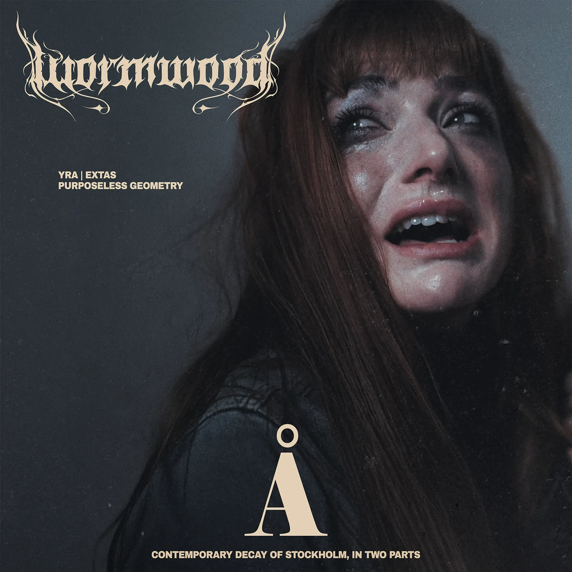 WORMWOOD - Å [CLEAR LP] (Black Metal Vinyl) · Picture 1