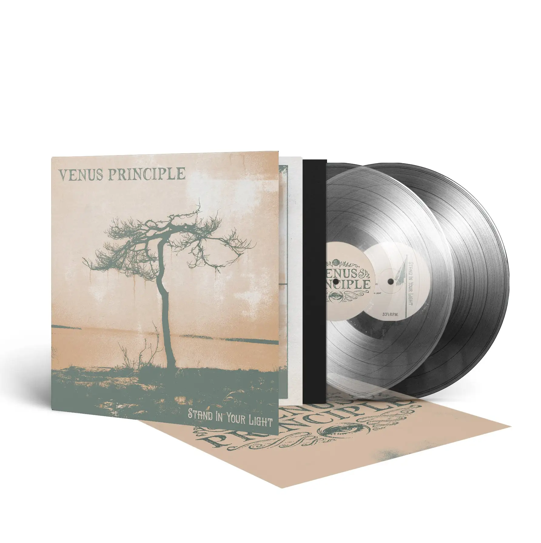 VENUS PRINCIPLE · Stand in Your Light | CLEAR 2LP (Dark Rock Vinyl) · Picture 2