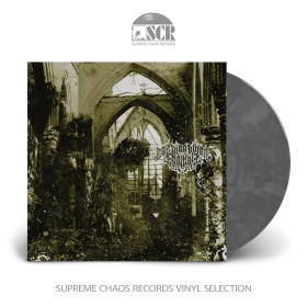 DER WEG EINER FREIHEIT · Agonie | SILVER/BLACK LP (Black Metal Vinyl)