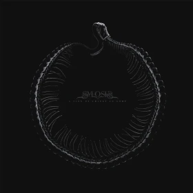 SYLOSIS · A Sign Of Things To Come | WHITE LP (Melodic Death Metal Vinyl) · Picture 1
