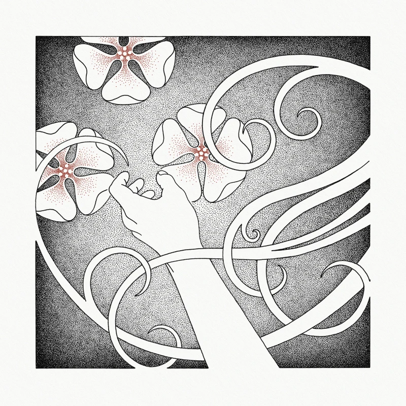 WHISPERING VOID · At The Sound Of The Heart | CRYSTAL CLEAR LP (Nordic Folk Vinyl) · Picture 1