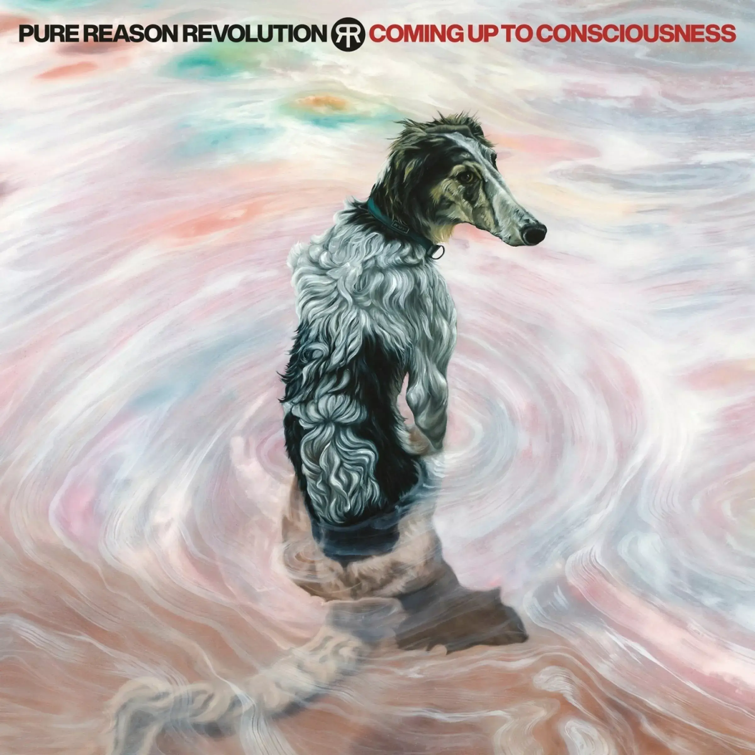 PURE REASON REVOLUTION · Coming Up To Consciousness | TRANSPARENT NEON PINK BIO VINYL (Progressive Rock Vinyl) · Picture 1