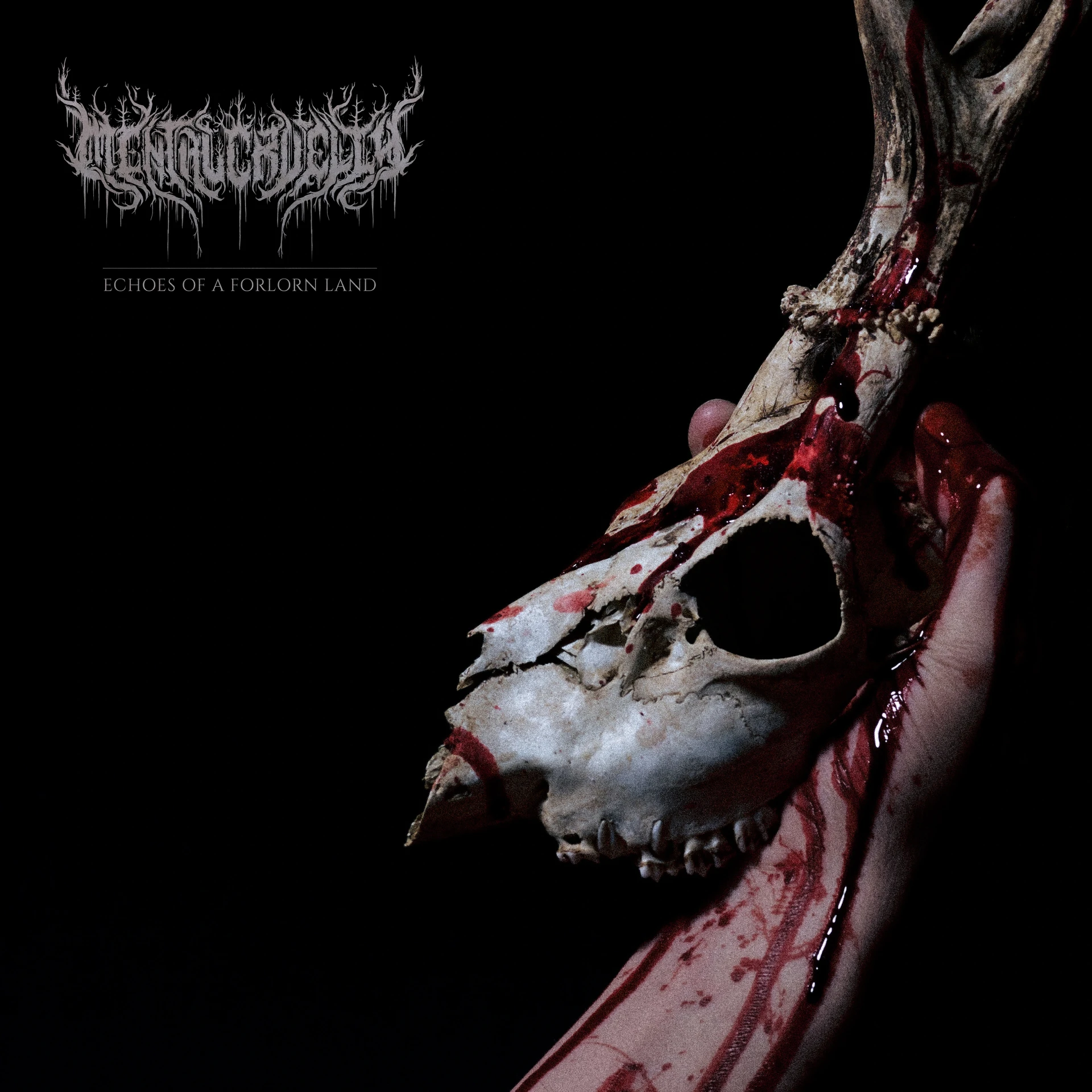 MENTAL CRUELTY - Echoes of a Forlorn Land [TRANSPERENT RED LP] (Death Metal Vinyl) · Picture 1