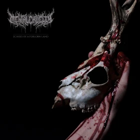 MENTAL CRUELTY - Echoes of a Forlorn Land [TRANSPERENT RED LP] (Death Metal Vinyl) · Picture 1
