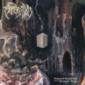 APPARITION · Disgraced Emanations From A Tranquil State | BLACK LP (Death Doom Vinyl) · Picture 1