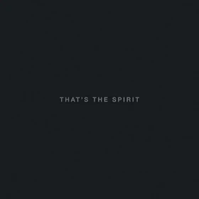 BRING ME THE HORIZON · That's The Spirit | BLACK LP+CD (Metalcore Vinyl) · Picture 1