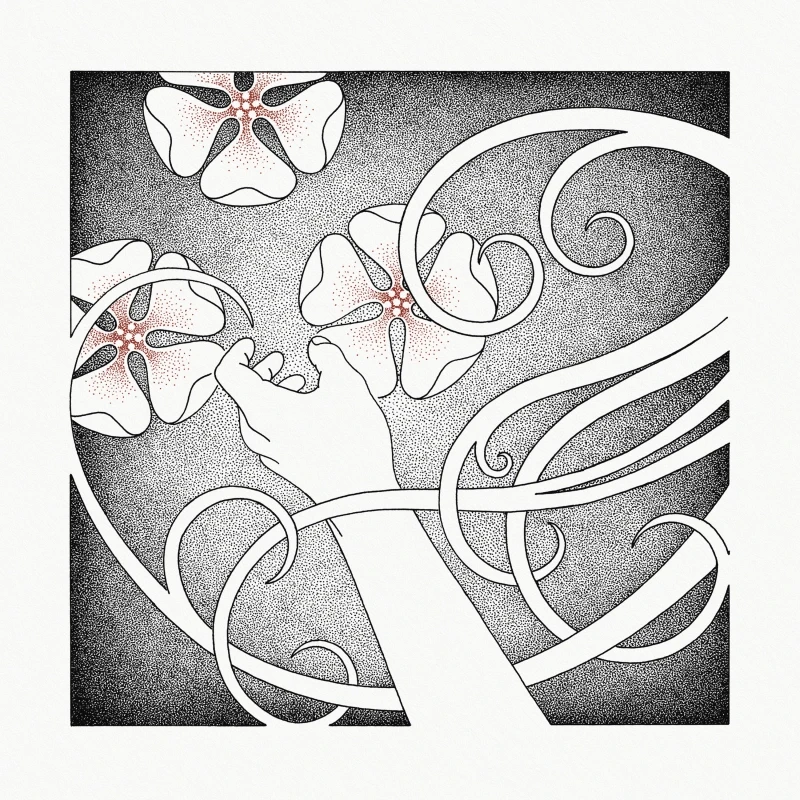 WHISPERING VOID · At The Sound Of The Heart | CRYSTAL CLEAR LP (Nordic Folk Vinyl) · Picture 1