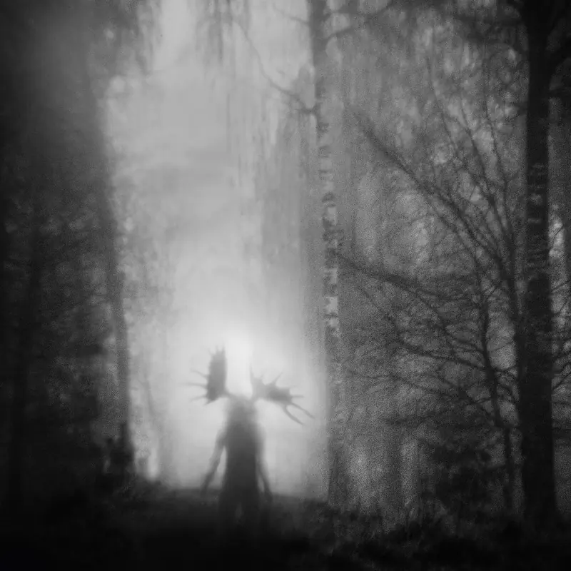 ITERUM NATA · From The Infinite Light | BLACK LP (Folk Vinyl) · Picture 1