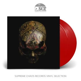 BLIGHT · Temple Of Wounds | RED 2LP (Black Metal Vinyl)