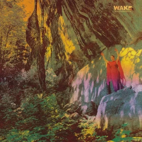 WAKE · Thought Form Descent | RED LP (Death Metal/Black Metal Vinyl) · Picture 1