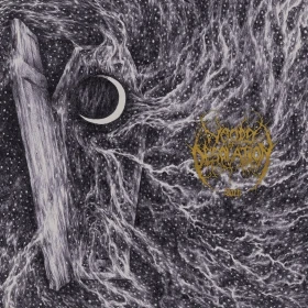 WOODS OF DESOLATION · Sorh | BLACK LP (Black Metal Vinyl) · Picture 1