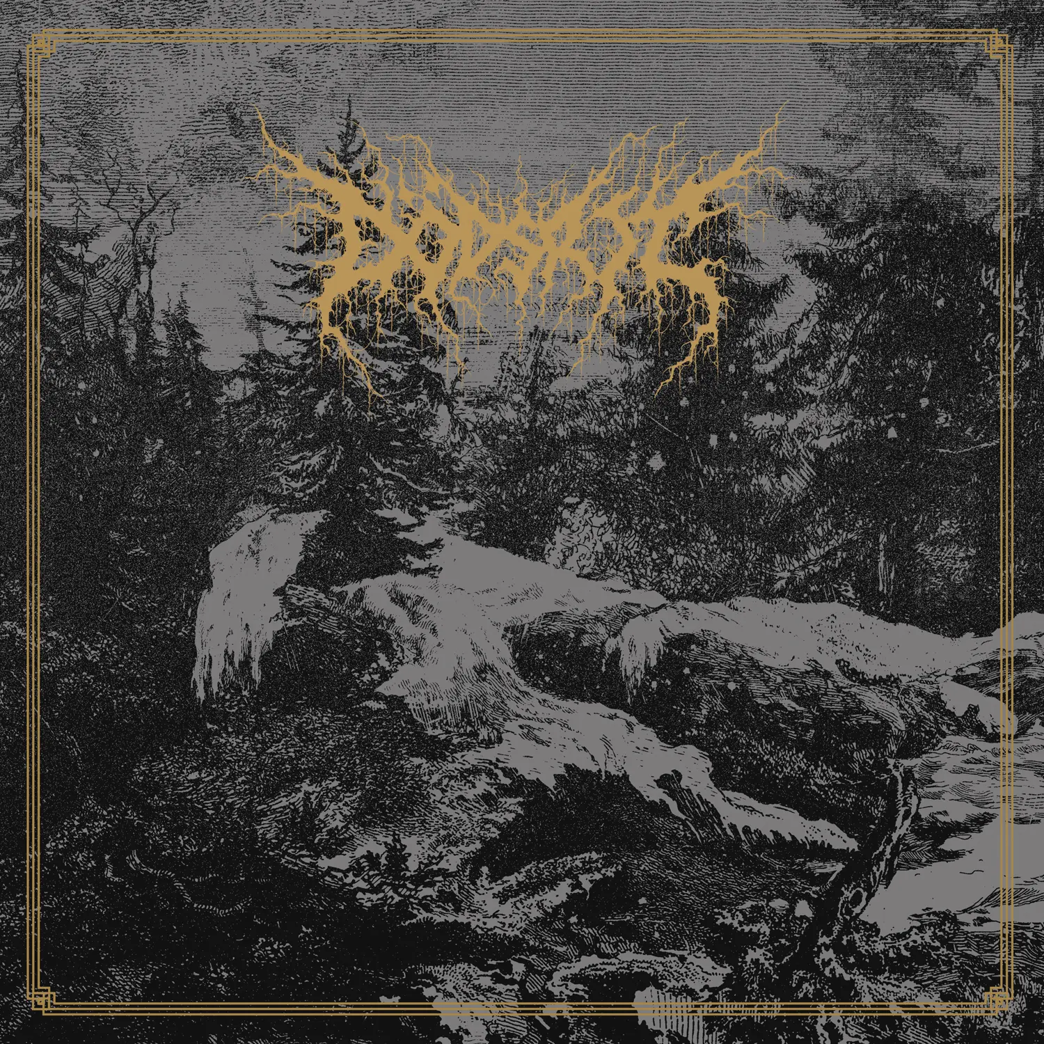 DÖDSRIT · Mortal Coil | BLACK LP (Black Metal Vinyl) · Picture 1