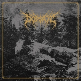 DÖDSRIT · Mortal Coil | BLACK LP (Black Metal Vinyl) · Picture 1