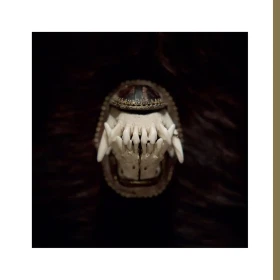 AMENRA · De Toorn | BLACK ONYX LP (Doom Metal/Post Metal/Sludge/Hardcore Vinyl) · Picture 1