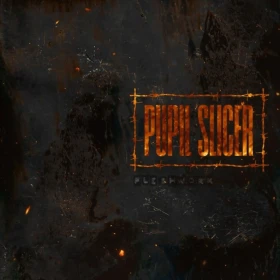 PUPIL SLICER · Fleshwork | CITRUS ECO MIX LP (Mathcore/Progressive Metal Vinyl) · Picture 1