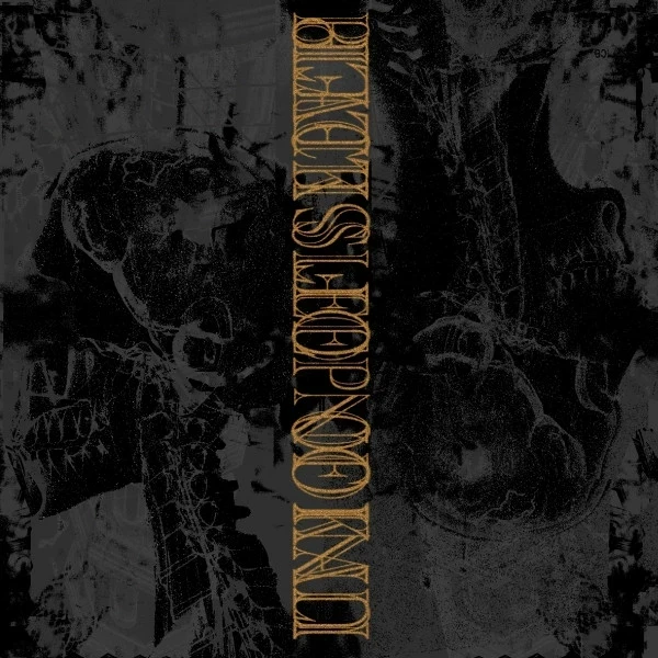 BLACK SLEEP OF KALI / UNION OF SLEEP · Split | BLACK LP (Sludge Vinyl) · Picture 1